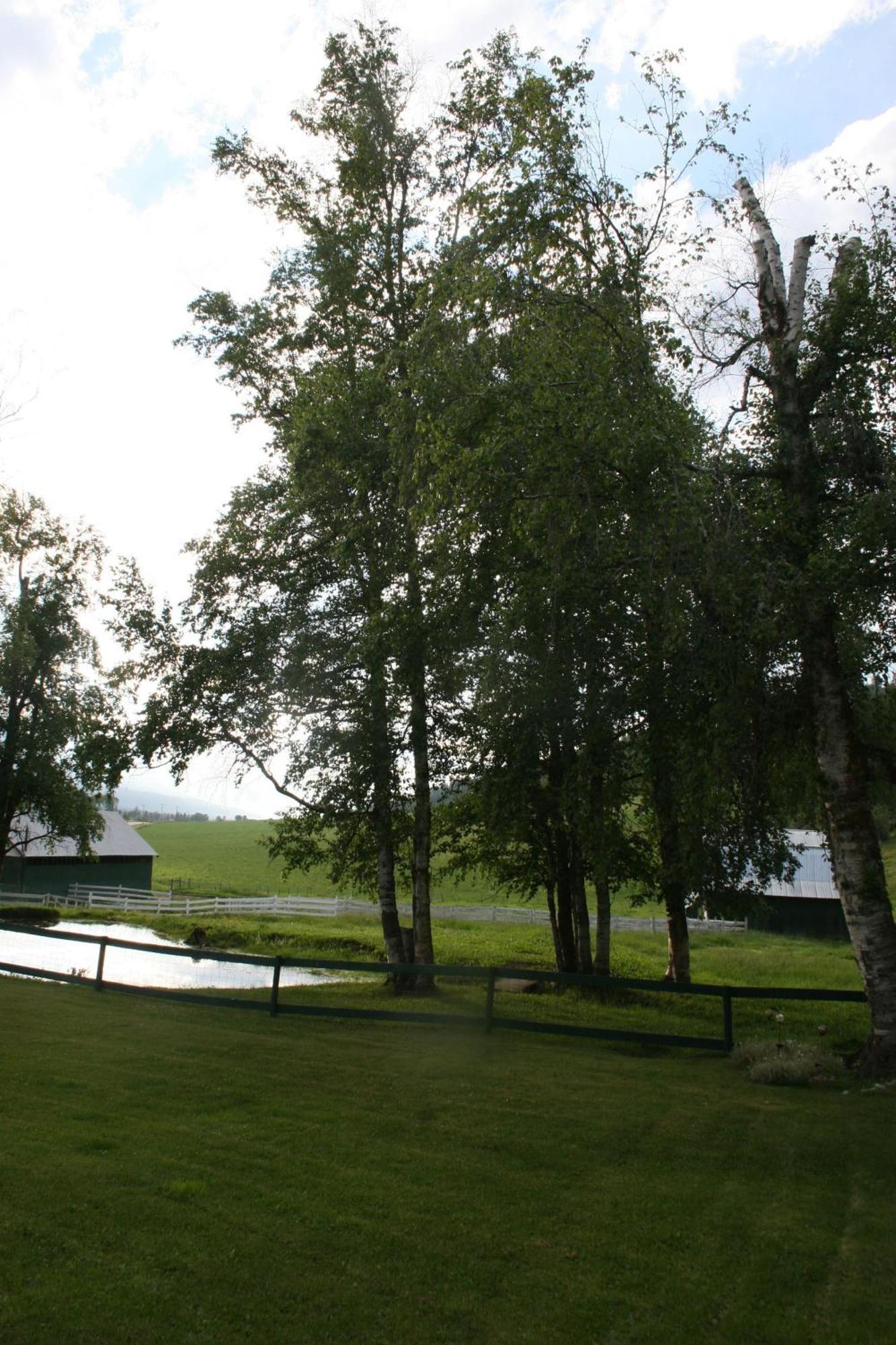 Dunphy'S Bed And Breakfast Parson Exterior photo